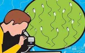 弱精症的检查步骤有哪些